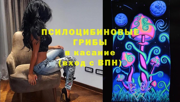 ешки Алексин