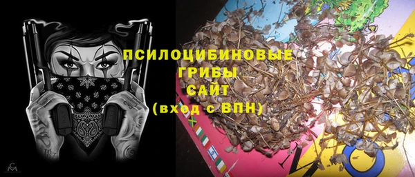 ешки Алексин