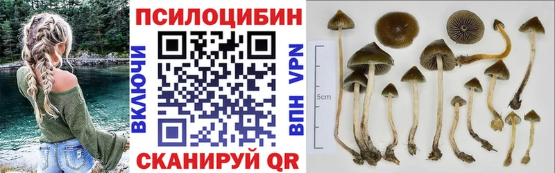 Псилоцибиновые грибы ЛСД  Белоозёрский 